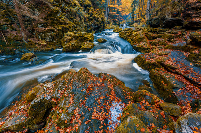 wild river Doubrava, autumn landscape